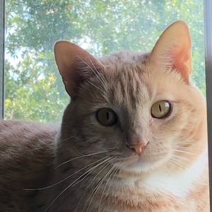 Meet your Posher, Lydia